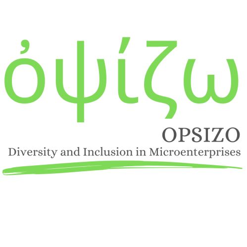 OPSIZO Innovative corporate welfare model D&I in microenterprises